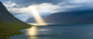 Read more about the article The Puzzle of Life – The Missing Piece