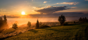 Read more about the article Small Miracles Or Coincidence