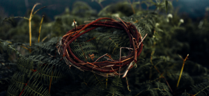Read more about the article The Meaning of Christ’s Crown of Thorns