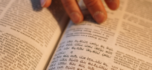 Read more about the article What Is The Torah in the Old Testament