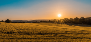 Read more about the article The Old Quaker’s Paradox